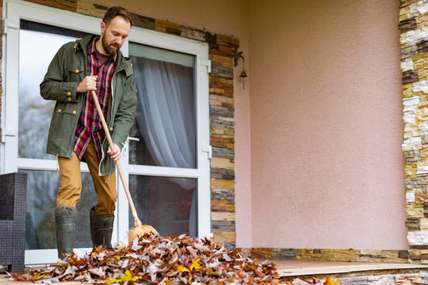 Best Professional Junk Removal  in Berkley, MI